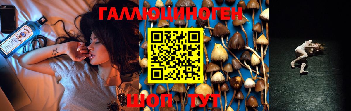 цены   Вход с VPN  Кандалакша  Галлюциногенные грибы прущие грибы 